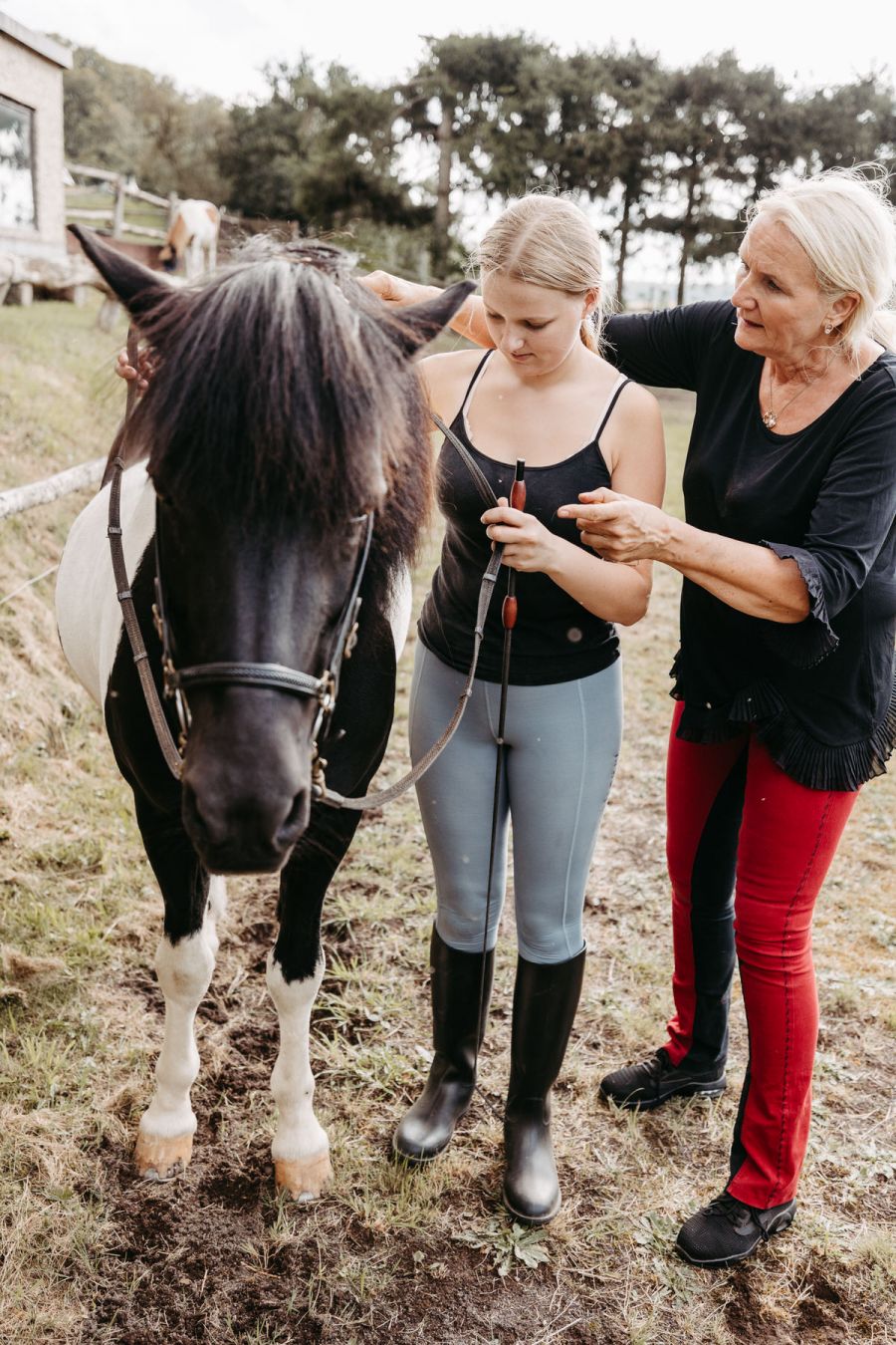 Therapeutisches Reiten im Taunus bei Patricia Backhus, Dipl. Psych. Reittherapeutin SG-TR