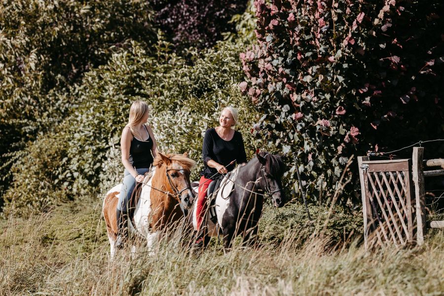 Therapeutisches Reiten im Taunus bei Patricia Backhus, Dipl. Psych. Reittherapeutin SG-TR