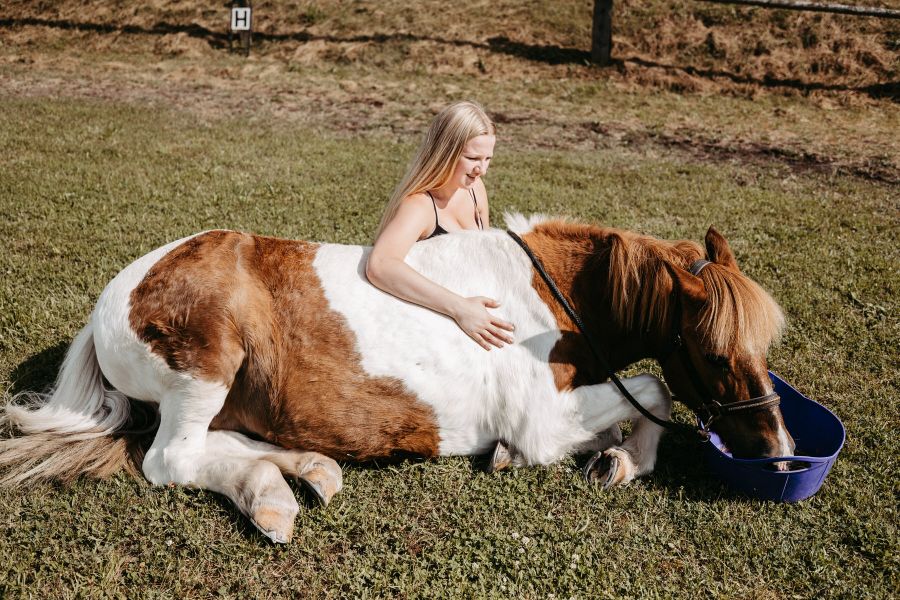 Therapeutisches Reiten im Taunus bei Patricia Backhus, Dipl. Psych. Reittherapeutin SG-TR